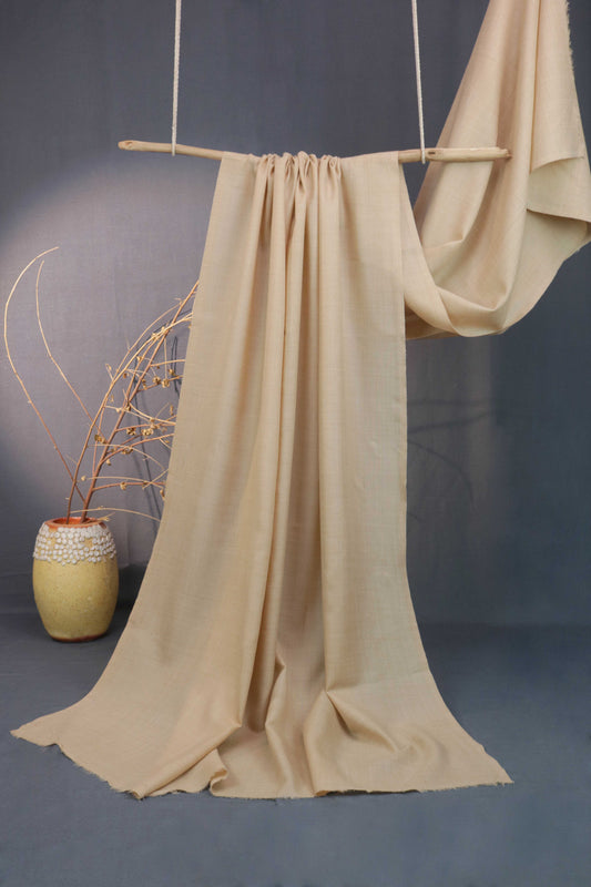 Plain Pashmina Shawl 2172 Skin4