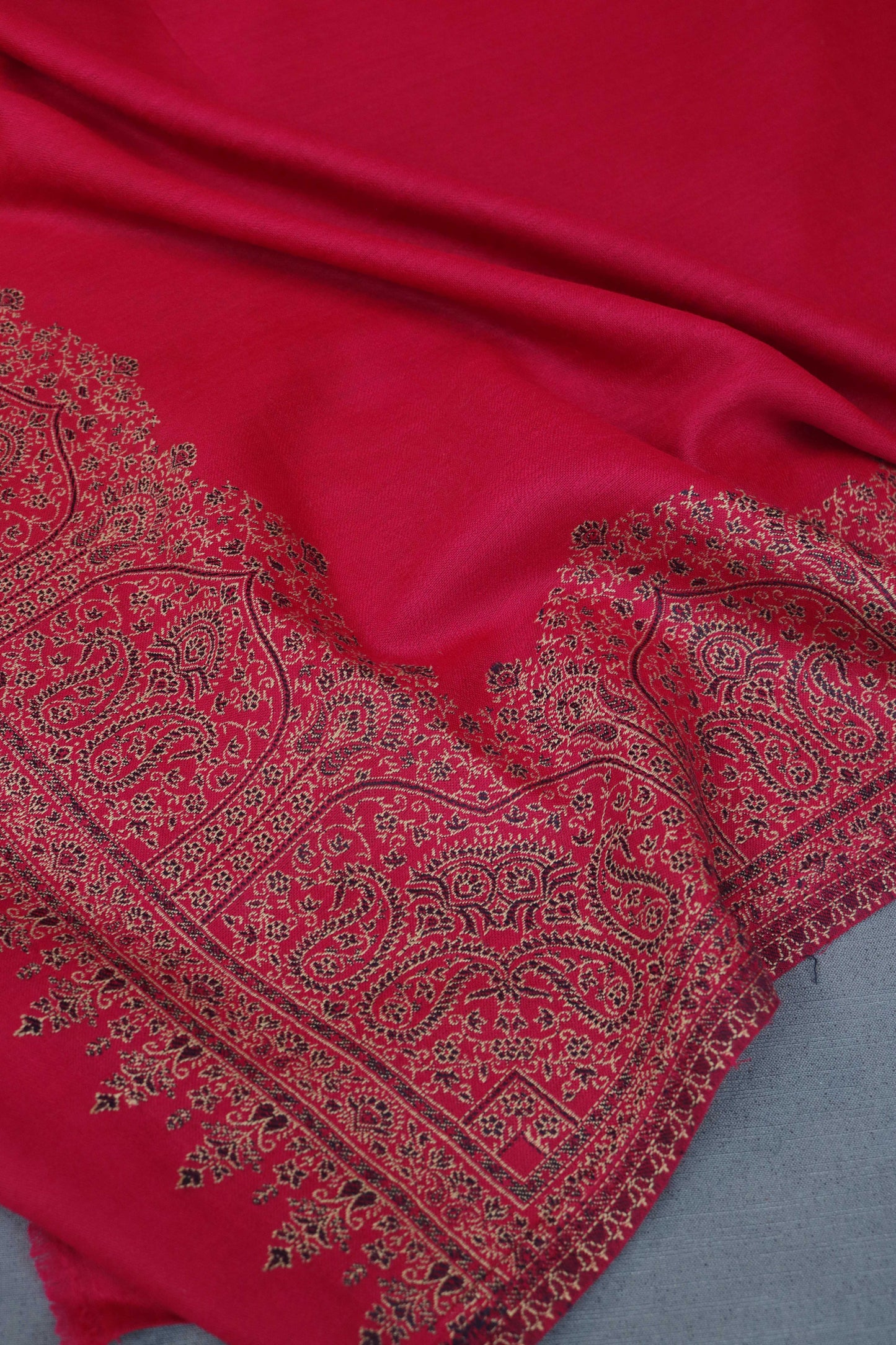 Kani Border Pashmina Shawl 3489D