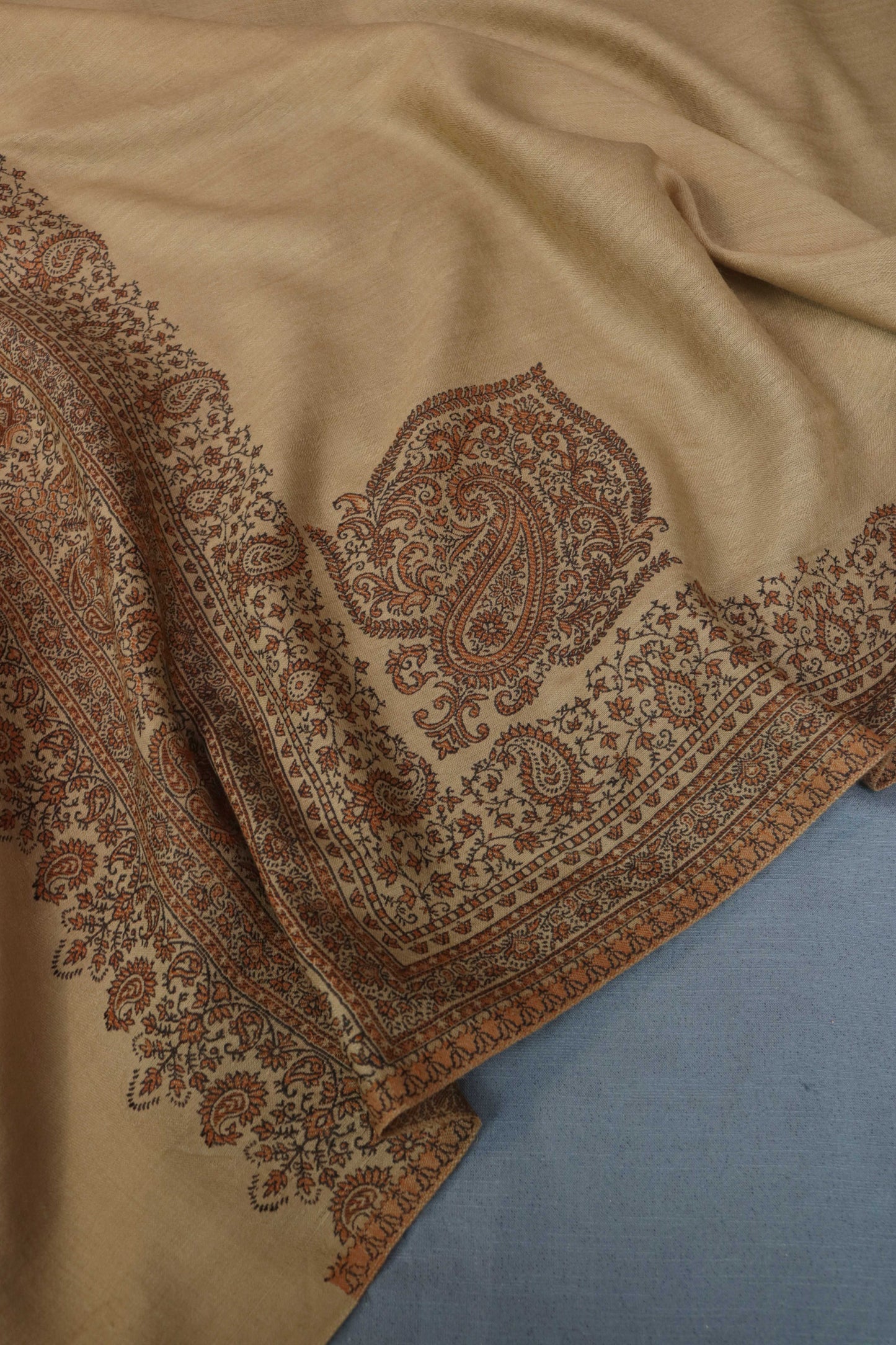 Kani Border Pashmina Shawl 3489C