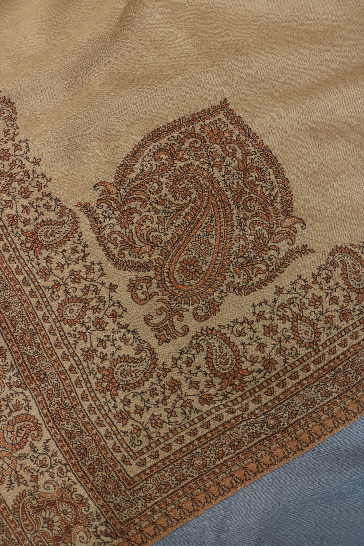 Kani Border Pashmina Shawl 3489C