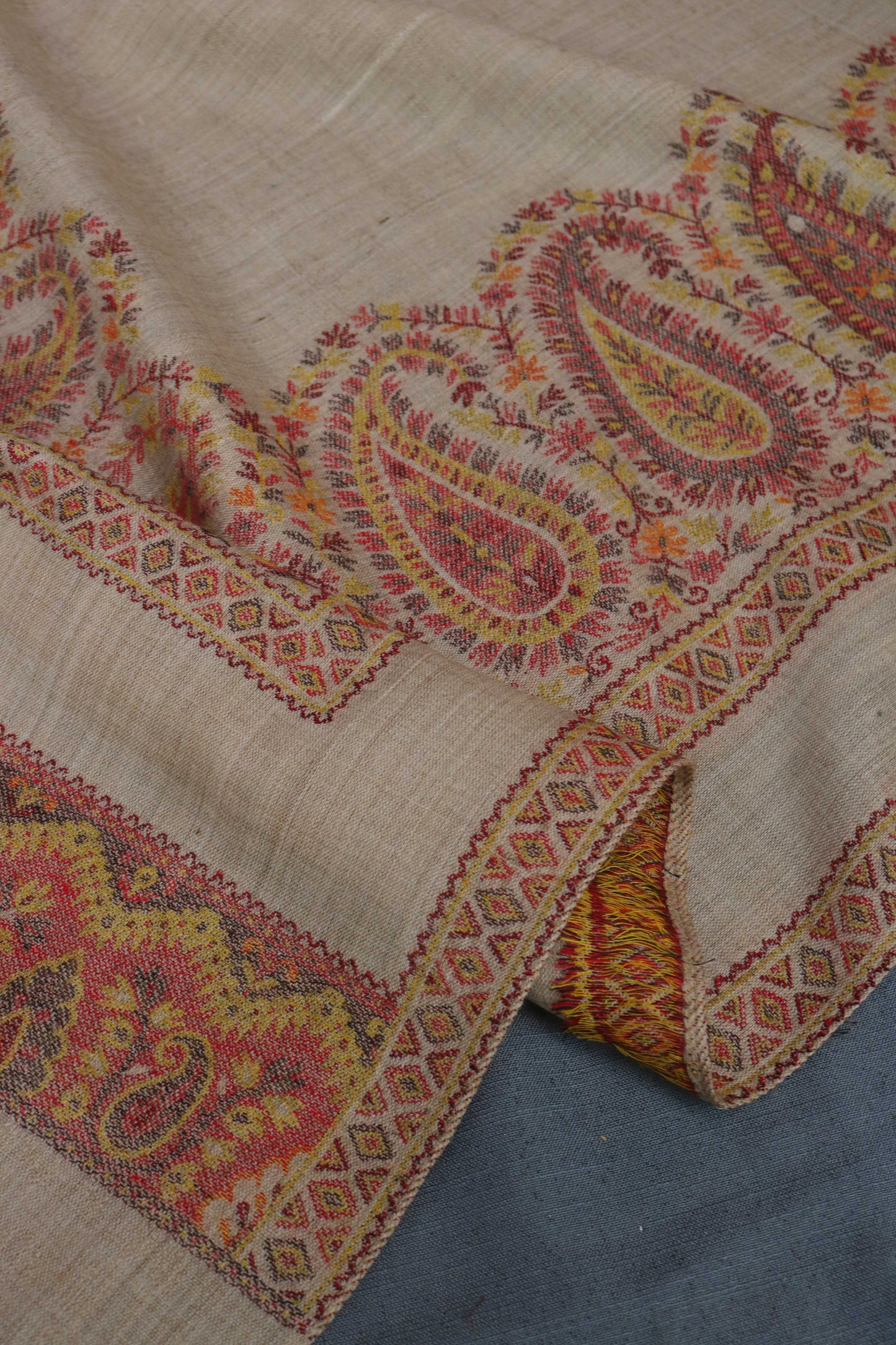 Kani Border Pashmina Shawl HKSH31