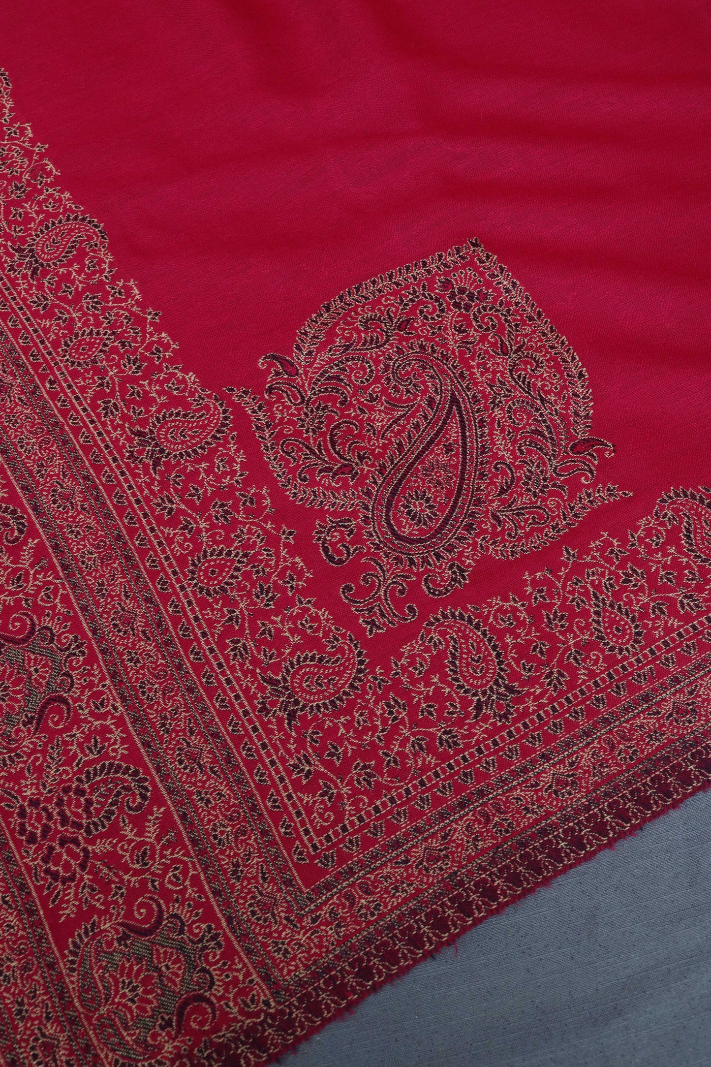 Kani Border Pashmina Shawl 3489G