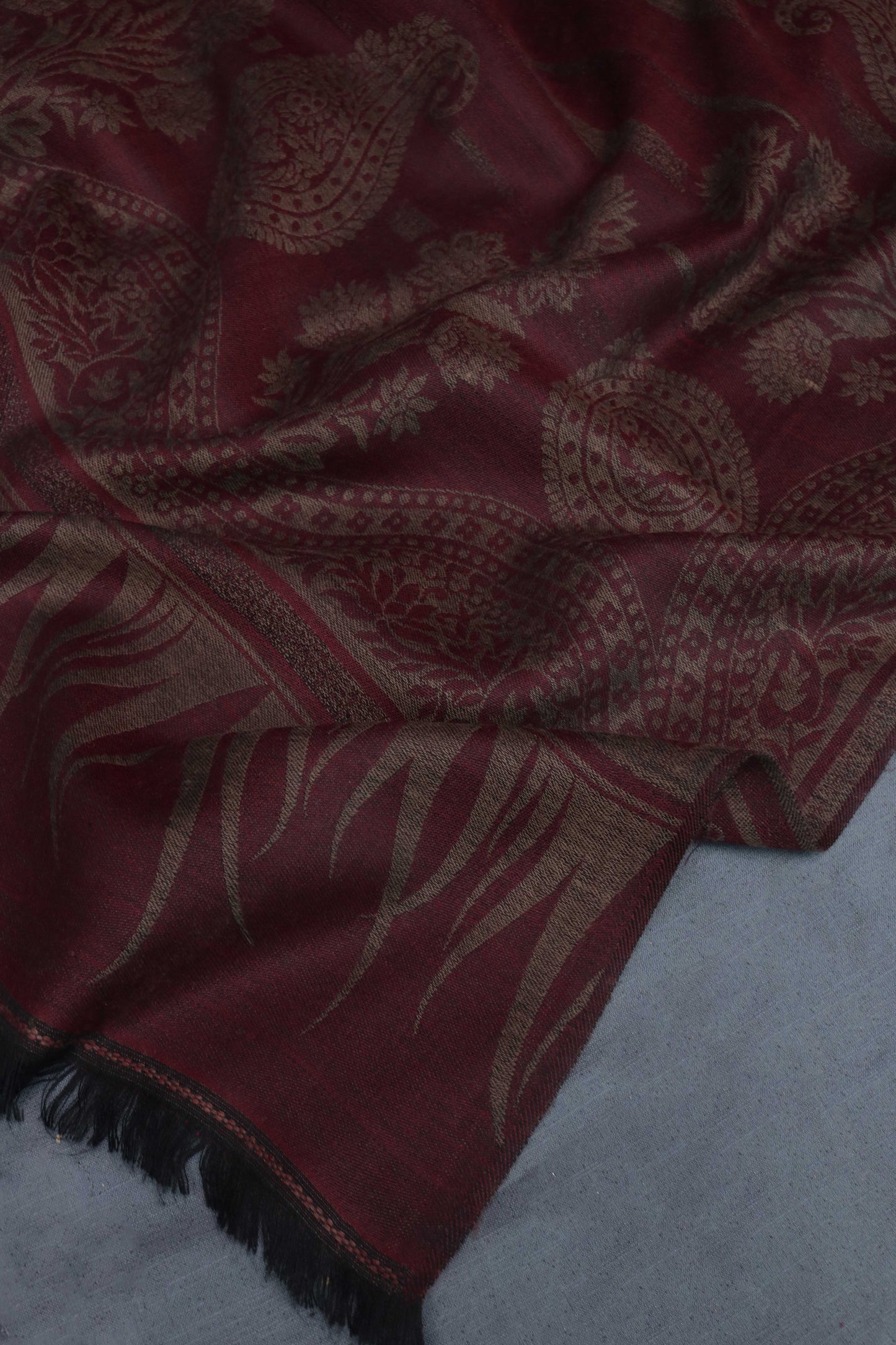 3Piece -Marina with Pashmina Shawl KPP292